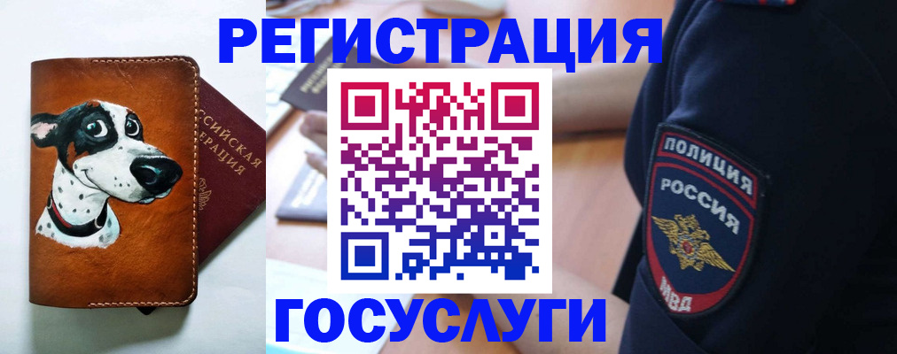 временная регистрация в квартире в Морозовске